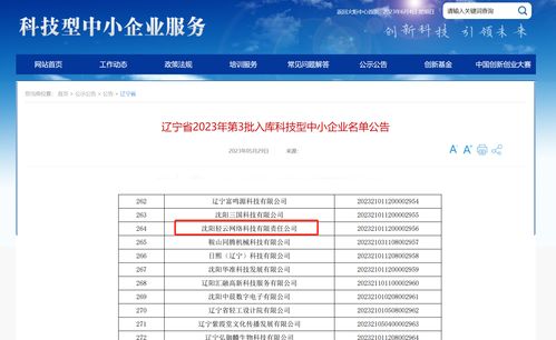 沈阳轻云网络科技责任公司荣获科技型中小企业称号